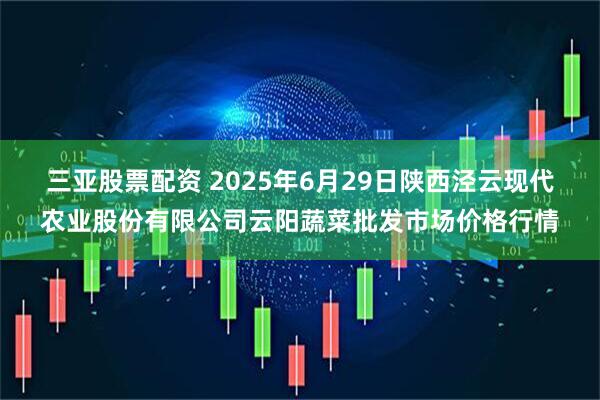三亚股票配资 2025年6月29日陕西泾云现代农业股份有限公司云阳蔬菜批发市场价格行情