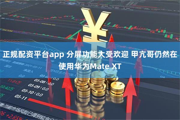 正规配资平台app 分屏功能大受欢迎 甲亢哥仍然在使用华为Mate XT