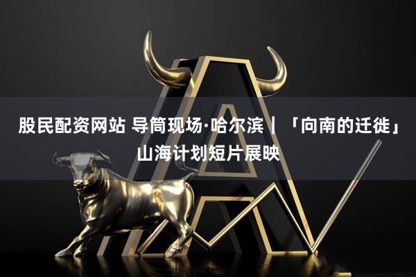 股民配资网站 导筒现场·哈尔滨｜「向南的迁徙」山海计划短片展映